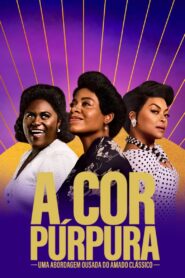 A Cor Púrpura – The Color Purple